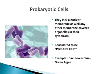  They lack a nuclear
membrane as well any
other membrane covered
organelles in their
cytoplasm.
 Considered to be
“Primitive Cells”
 Example : Bacteria & Blue-
Green Algae
 