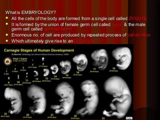What is EMBRYOLOGY?
 All the cells of the body are formed from a single cell called ZYGOTE
 It is formed by the union of female germ cell called ovum & the male
germ cell called spermatozoon
 Enormous no. of cell are produced by repeated process of cell-division
 Which ultimately give rise to an Organism

11/28/13

1

 