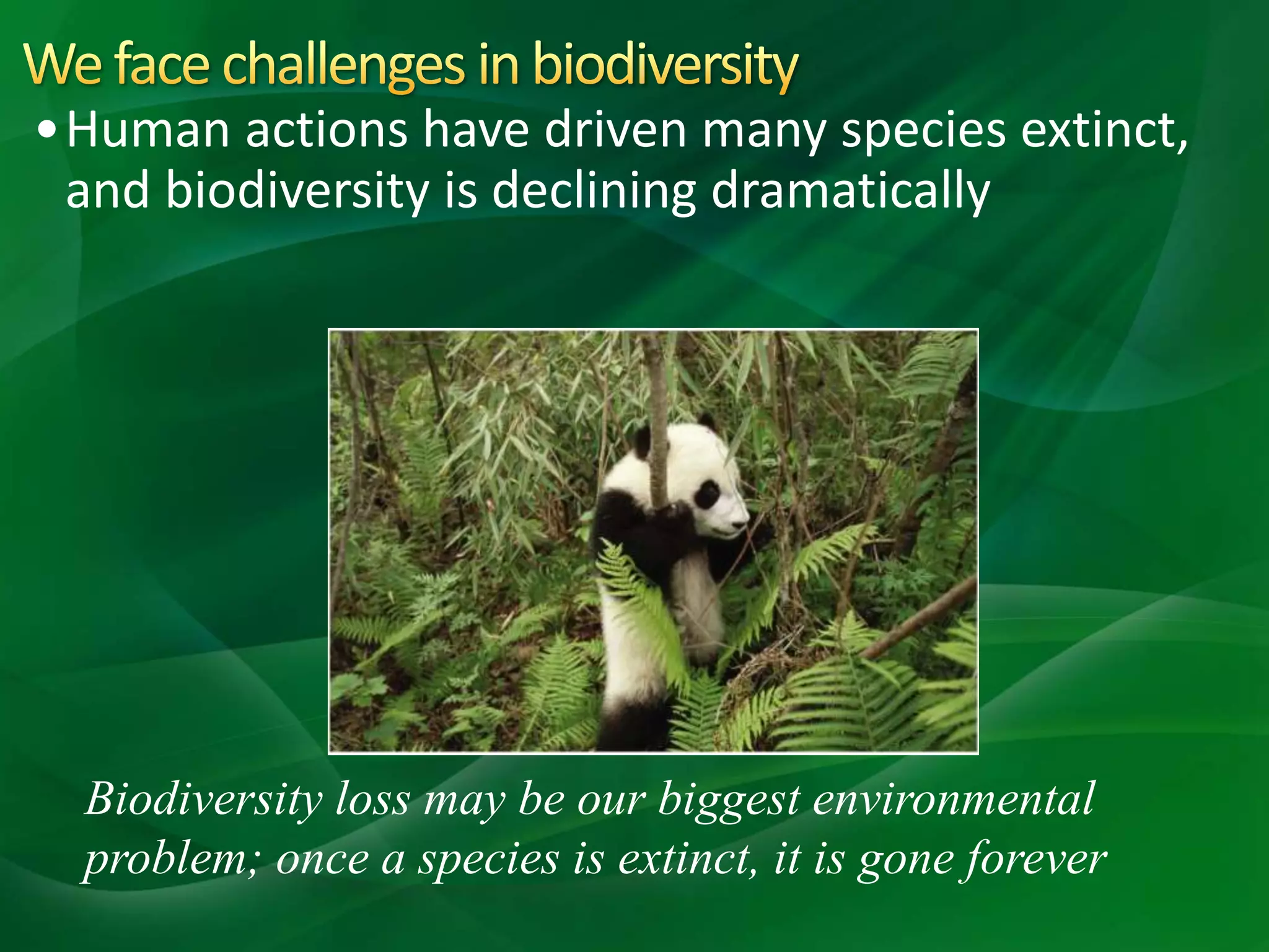 •Human actions have driven many species extinct,
and biodiversity is declining dramatically
Biodiversity loss may be our biggest environmental
problem; once a species is extinct, it is gone forever
 