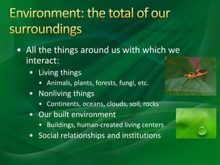 • All the things around us with which we
interact:
• Living things
• Animals, plants, forests, fungi, etc.
• Nonliving things
• Continents, oceans, clouds, soil, rocks
• Our built environment
• Buildings, human-created living centers
• Social relationships and institutions
 
