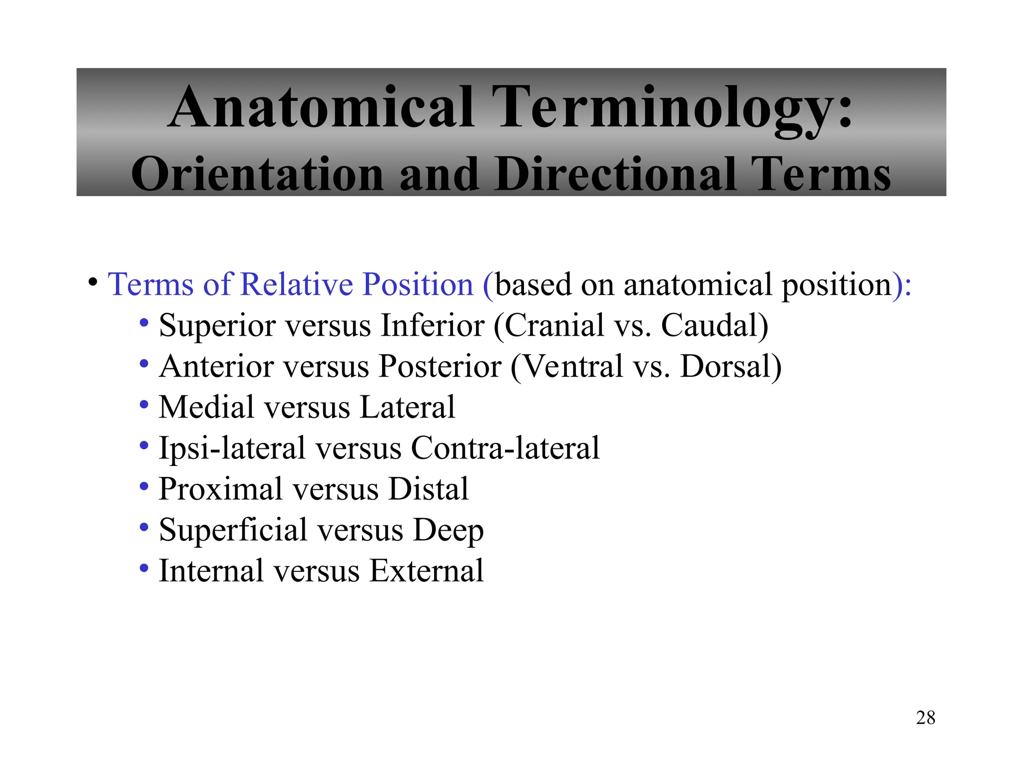28
Anatomical Terminology:
Orientation and Directional Terms
• Terms of Relative Position (based on anatomical position):
• Superior versus Inferior (Cranial vs. Caudal)
• Anterior versus Posterior (Ventral vs. Dorsal)
• Medial versus Lateral
• Ipsi-lateral versus Contra-lateral
• Proximal versus Distal
• Superficial versus Deep
• Internal versus External
 