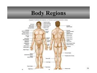 1 Introduction to Human Anatomy & Physiology.ppt