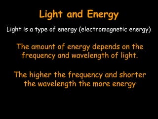 Light and Energy
Light is a type of energy (electromagnetic energy)
The amount of energy depends on the
frequency and wavelength of light.
The higher the frequency and shorter
the wavelength the more energy
 