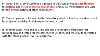 (4) About 5 ml of collected blood is placed in vials containing oxalate-fluoride
for glucose and serum inorganic phosphorus, and 20-30 ml in heparinized vials
for the determination of other components.
(5) The samples must be send to the laboratory within a few hours and must not
be subjected to delays in delivery or to heat or cold.
(6) In some cases, milk and or urine samples are collected from each test
lactating cow and tested for the presence of ketones, and the results correlated
with the blood glucose levels of each cow.
 