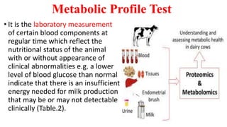 Metabolic Profile Test
• It is the laboratory measurement
of certain blood components at
regular time which reflect the
nutritional status of the animal
with or without appearance of
clinical abnormalities e.g. a lower
level of blood glucose than normal
indicate that there is an insufficient
energy needed for milk production
that may be or may not detectable
clinically (Table.2).
 
