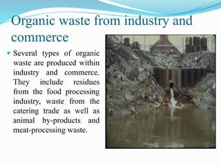 Organic waste from industry and
commerce
 Several types of organic
waste are produced within
industry and commerce.
They include residues
from the food processing
industry, waste from the
catering trade as well as
animal by-products and
meat-processing waste.
 
