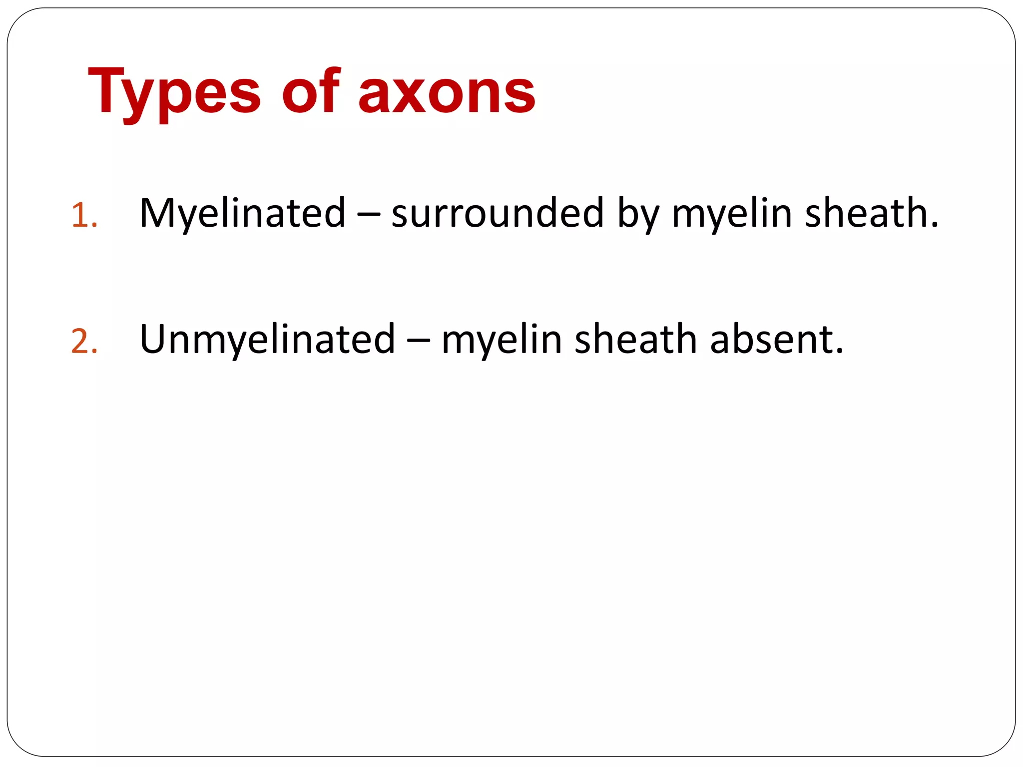 Types of axons
1. Myelinated – surrounded by myelin sheath.
2. Unmyelinated – myelin sheath absent.
 