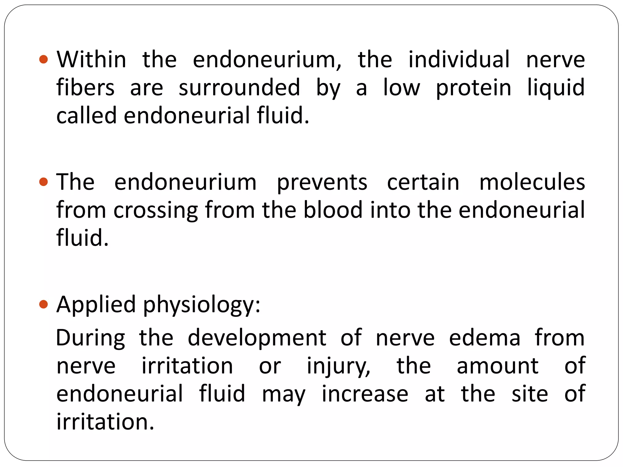  Within the endoneurium, the individual nerve
fibers are surrounded by a low protein liquid
called endoneurial fluid.
 The endoneurium prevents certain molecules
from crossing from the blood into the endoneurial
fluid.
 Applied physiology:
During the development of nerve edema from
nerve irritation or injury, the amount of
endoneurial fluid may increase at the site of
irritation.
 