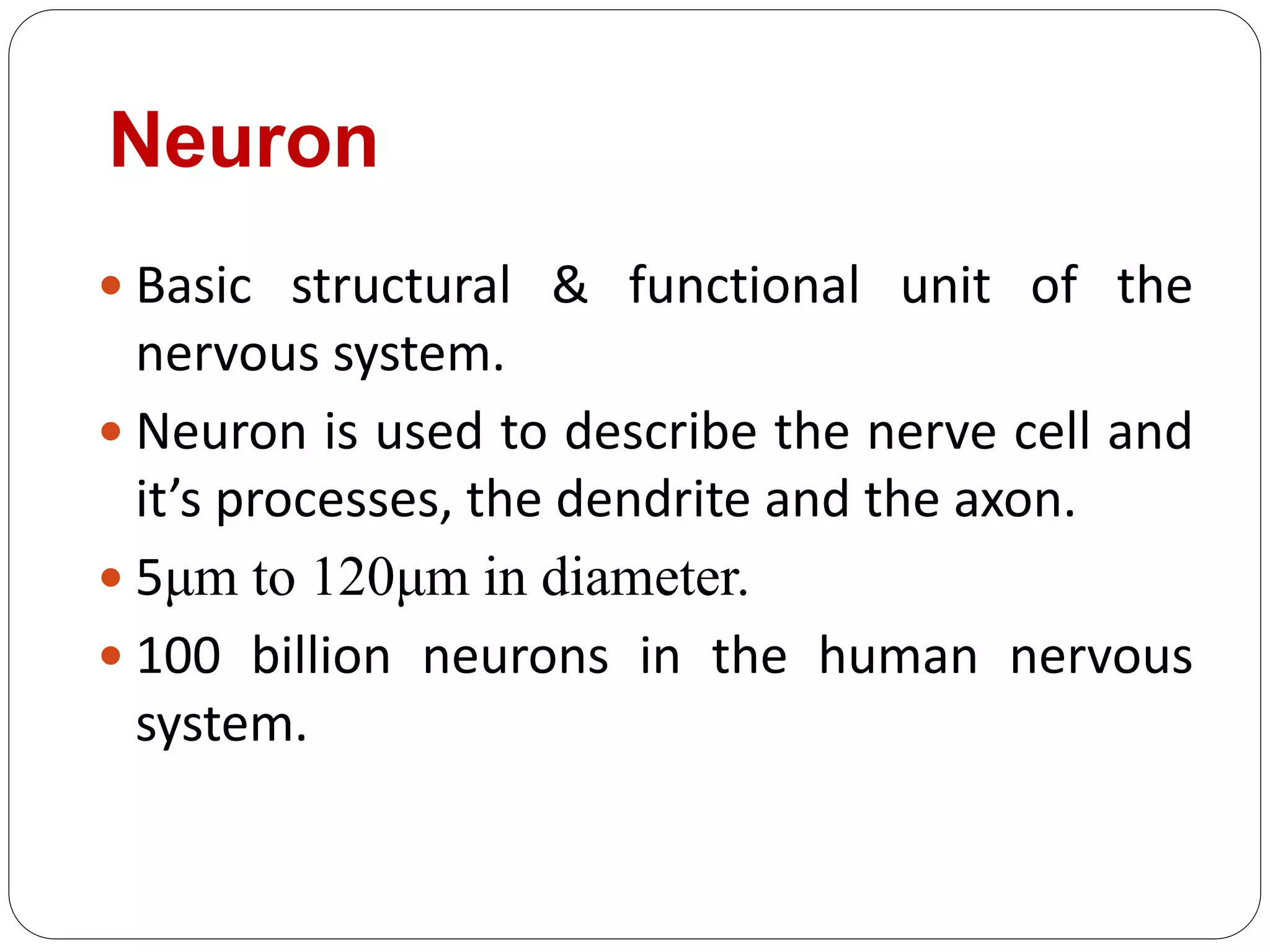 Neuron
 Basic structural & functional unit of the
nervous system.
 Neuron is used to describe the nerve cell and
it’s processes, the dendrite and the axon.
 5μm to 120μm in diameter.
 100 billion neurons in the human nervous
system.
 