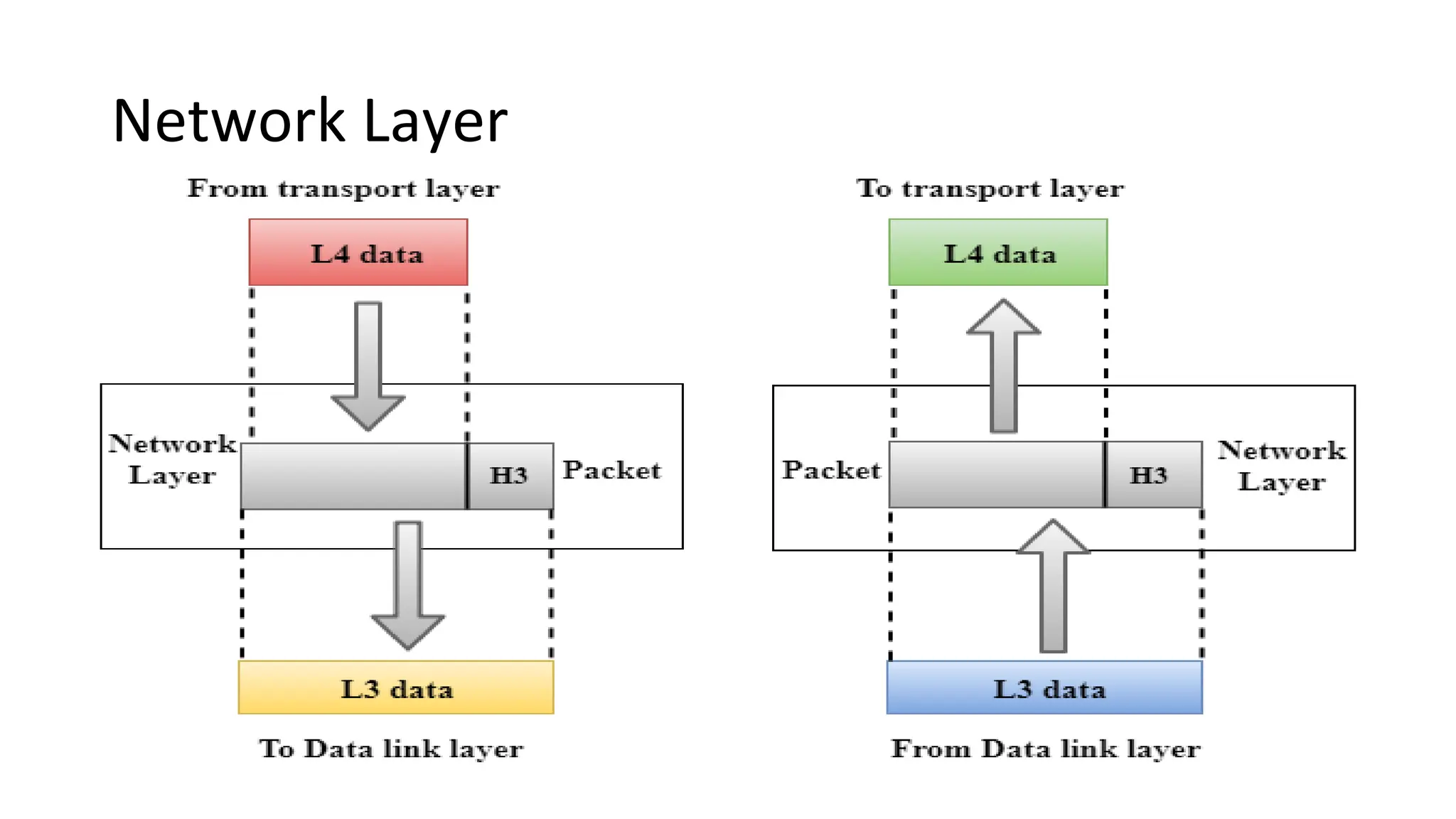 Network Layer
 
