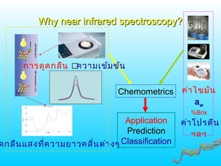 Why near infrared spectroscopy?Why near infrared spectroscopy?
ดกลืนแสงที่ความยาวคลื่นต่างๆ
ค่าไขมัน
aw
%Brix
ค่าโปรตีน
ฯลฯ
Chemometrics
Application
Prediction
Classification
การดูดกลืน ความเข้มข้น
 
