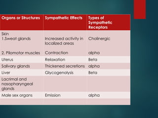 Pilometer 1_ INTRODUCTION TO THE CNS -.ppt central nervous system | PPT