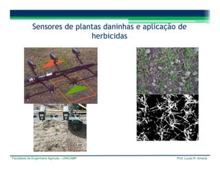 Faculdade de Engenharia Agrícola – UNICAMP Prof. Lucas R. Amaral
Sensores de plantas daninhas e aplicação de
herbicidas
 