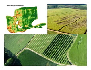Faculdade de Engenharia Agrícola – UNICAMP Prof. Lucas R. Amaral
 