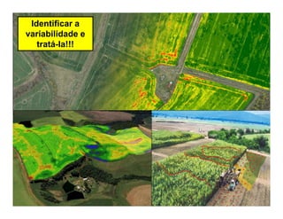 Faculdade de Engenharia Agrícola – UNICAMP Prof. Lucas R. Amaral
Identificar a
variabilidade e
tratá-la!!!
 