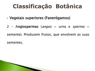    Vegetais superiores (Fanerógamos)

2 - Angiospermas (angos = urna e sperma =

semente). Produzem frutos, que envolvem as suas

sementes.
 