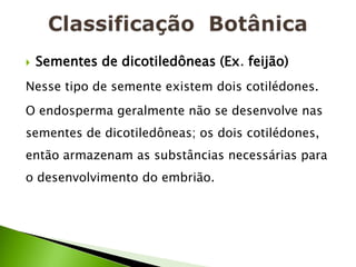    Sementes de dicotiledôneas (Ex. feijão)
Nesse tipo de semente existem dois cotilédones.
O endosperma geralmente não se desenvolve nas
sementes de dicotiledôneas; os dois cotilédones,
então armazenam as substâncias necessárias para
o desenvolvimento do embrião.
 