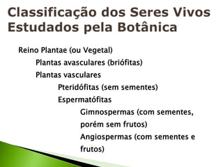 Reino Plantae (ou Vegetal)
    Plantas avasculares (briófitas)
    Plantas vasculares
          Pteridófitas (sem sementes)
          Espermatófitas
                 Gimnospermas (com sementes,
                 porém sem frutos)
                 Angiospermas (com sementes e
                 frutos)
 