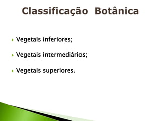    Vegetais inferiores;

   Vegetais intermediários;

   Vegetais superiores.
 