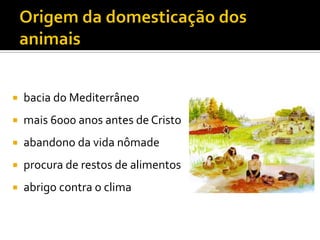  bacia do Mediterrâneo
 mais 6000 anos antes de Cristo
 abandono da vida nômade
 procura de restos de alimentos
 abrigo contra o clima
 