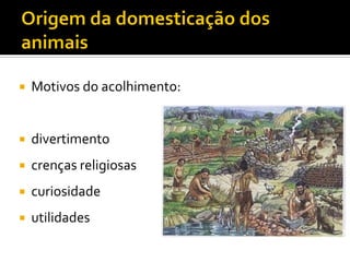  Motivos do acolhimento:
 divertimento
 crenças religiosas
 curiosidade
 utilidades
 