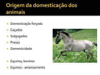  Domesticação forçada
 Caçados
 Subjugados
 Presos
 Domesticidade
 Equinos, bovinos
 Equinos - amansamento
 