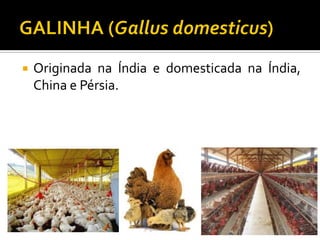  Originada na Índia e domesticada na Índia,
China e Pérsia.
 