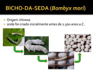  Origem chinesa
 onde foi criado inicialmente antes de 2.500 anos a.C.
 