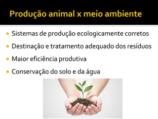  Sistemas de produção ecologicamente corretos
 Destinação e tratamento adequado dos resíduos
 Maior eficiência produtiva
 Conservação do solo e da água
 