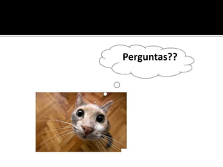 Perguntas??
 