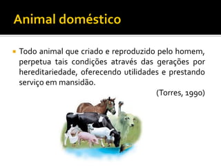  Todo animal que criado e reproduzido pelo homem,
perpetua tais condições através das gerações por
hereditariedade, oferecendo utilidades e prestando
serviço em mansidão.
(Torres, 1990)
 