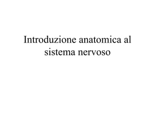 Introduzione anatomica al
sistema nervoso
 