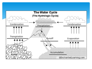 Condensation
Transpiration
Runoff
Precipitation
Accumulation
Evaporation
Condensation
 