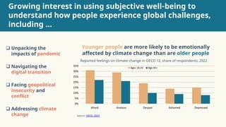 1 Intro Measuring Swb Romina Boarini Pdf