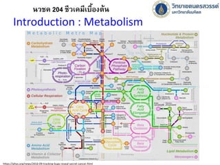 Introduction : Metabolism
นวชค 204 ชีวเคมีเบื้องต้น
https://phys.org/news/2016-09-tracking-bugs-reveal-secret-cancer.html
 
