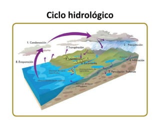 Ciclo hidrológico
 