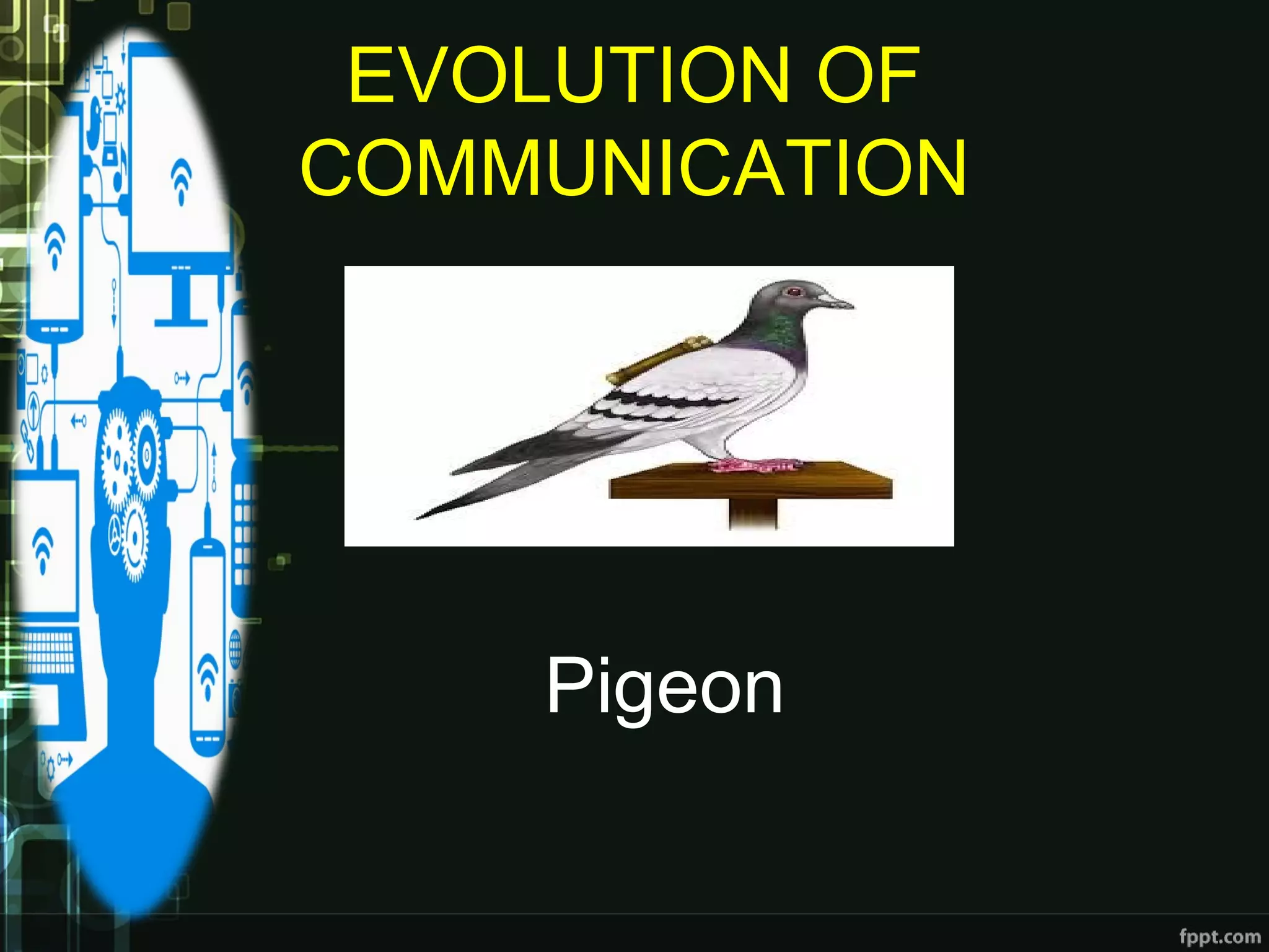 EVOLUTION OF
COMMUNICATION
Pigeon
 