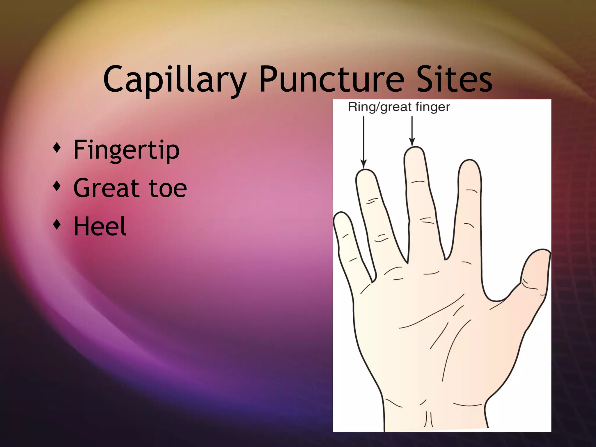 Capillary Puncture Sites Fingertip Great toe Heel  