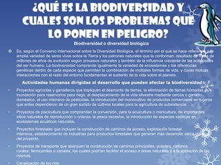 ¿Qué es la biodiversidad y
cuales son los problemas que
lo ponen en peligro?
Biodiversidad o diversidad biológica
 Es, según el Convenio Internacional sobre la Diversidad Biológica, el término por el que se hace referencia a la
amplia variedad de seres vivos sobre la Tierra y los patrones naturales que la conforman, resultado de miles de
millones de años de evolución según procesos naturales y también de la influencia creciente de las actividades
del ser humano. La biodiversidad comprende igualmente la variedad de ecosistemas y las diferencias
genéticas dentro de cada especie que permiten la combinación de múltiples formas de vida, y cuyas mutuas
interacciones con el resto del entorno fundamentan el sustento de la vida sobre el planeta.
Actividades humanas dirigidas al desarrollo que pueden afectar la biodiversidad
• Proyectos agrícolas y ganaderos que impliquen el desmonte de tierras, la eliminación de tierras húmedas, la
inundación para reservorios para riego, el desplazamiento de la vida silvestre mediante cercos o ganado
doméstico, el uso intensivo de pesticidas, la introducción del monocultivo de productos comerciales en lugares
que antes dependieron de un gran surtido de cultivos locales para la agricultura de subsistencia.
• Proyectos de piscicultura que comprendan la conversión, para la acuicultura o maricultura, de importantes
sitios naturales de reproducción o crianza, la pesca excesiva, la introducción de especies exóticas en
ecosistemas acuáticos naturales.
• Proyectos forestales que incluyan la construcción de caminos de acceso, explotación forestal
intensiva, establecimiento de industrias para productos forestales que generan más desarrollo cerca del sitio
del proyecto.
• Proyectos de transporte que abarquen la construcción de caminos principales, puentes, caminos
rurales, ferrocarriles o canales, los cuales podrían facilitar el acceso a áreas naturales y a la población de las
mismas.
• Canalización de los ríos
 