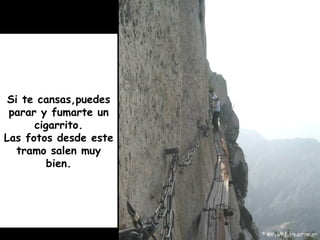 Si te cansas,puedes
parar y fumarte un
cigarrito.
Las fotos desde este
tramo salen muy
bien.
 