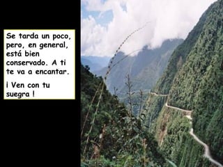 Se tarda un poco,
pero, en general,
está bien
conservado. A ti
te va a encantar.
¡ Ven con tu
suegra !
 