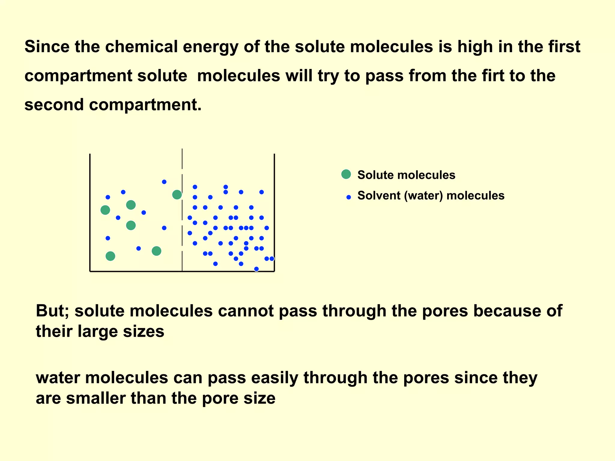 Solute molecules
Solvent (water) molecules
But; solute molecules cannot pass through the pores because of
their large sizes
Since the chemical energy of the solute molecules is high in the first
compartment solute molecules will try to pass from the firt to the
second compartment.
water molecules can pass easily through the pores since they
are smaller than the pore size
 