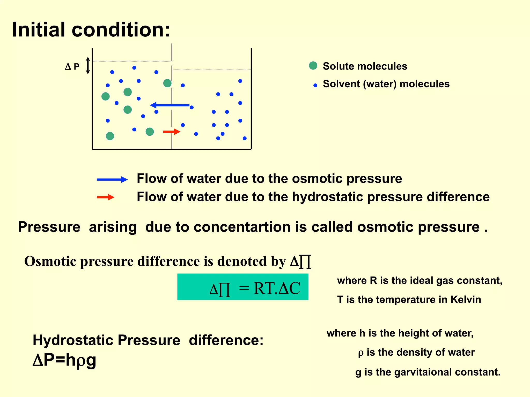 Solute molecules
Solvent (water) molecules
Δ P
Flow of water due to the osmotic pressure
Flow of water due to the hydrostatic pressure difference
Initial condition:
Osmotic pressure difference is denoted by Δ∏
Δ∏ = RT.ΔC
where R is the ideal gas constant,
T is the temperature in Kelvin
Hydrostatic Pressure difference:
ΔP=hρg
where h is the height of water,
ρ is the density of water
g is the garvitaional constant.
Pressure arising due to concentartion is called osmotic pressure .
 