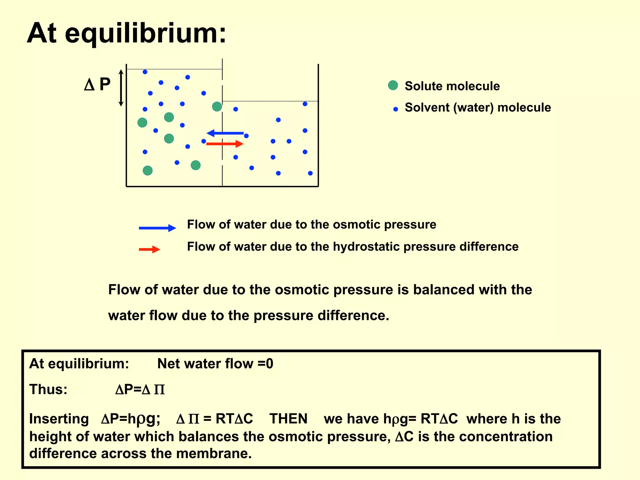 Solute molecule
Solvent (water) molecule
Δ P
Flow of water due to the osmotic pressure
Flow of water due to the hydrostatic pressure difference
Flow of water due to the osmotic pressure is balanced with the
water flow due to the pressure difference.
At equilibrium:
At equilibrium: Net water flow =0
Thus: ΔP=Δ Π
Inserting ΔP=hρg; Δ Π = RTΔC THEN we have hρg= RTΔC where h is the
height of water which balances the osmotic pressure, ΔC is the concentration
difference across the membrane.
 