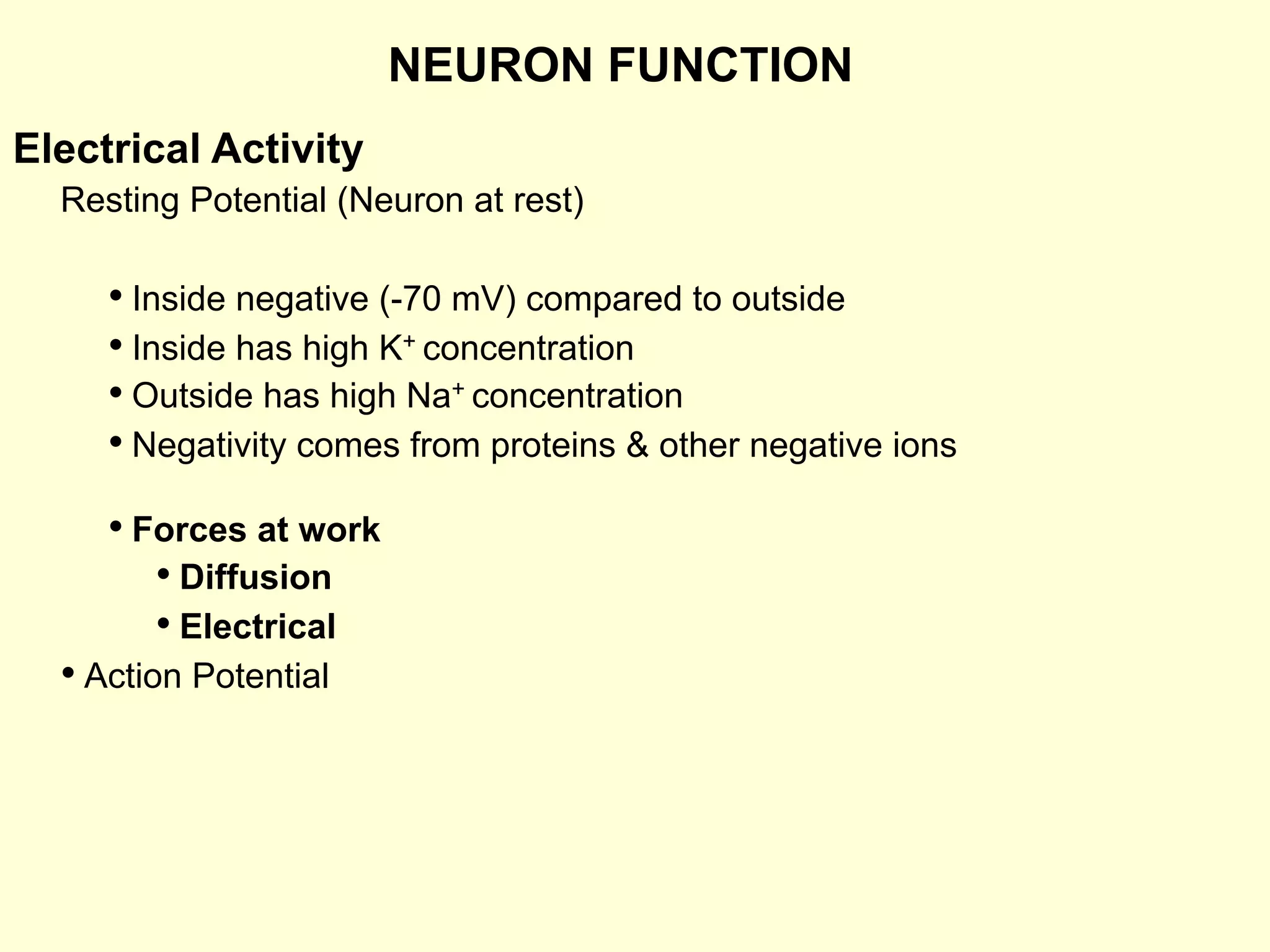 NEURON FUNCTION
Electrical Activity
Resting Potential (Neuron at rest)
• Inside negative (-70 mV) compared to outside
• Inside has high K+ concentration
• Outside has high Na+ concentration
• Negativity comes from proteins & other negative ions
• Forces at work
• Diffusion
• Electrical
• Action Potential
 