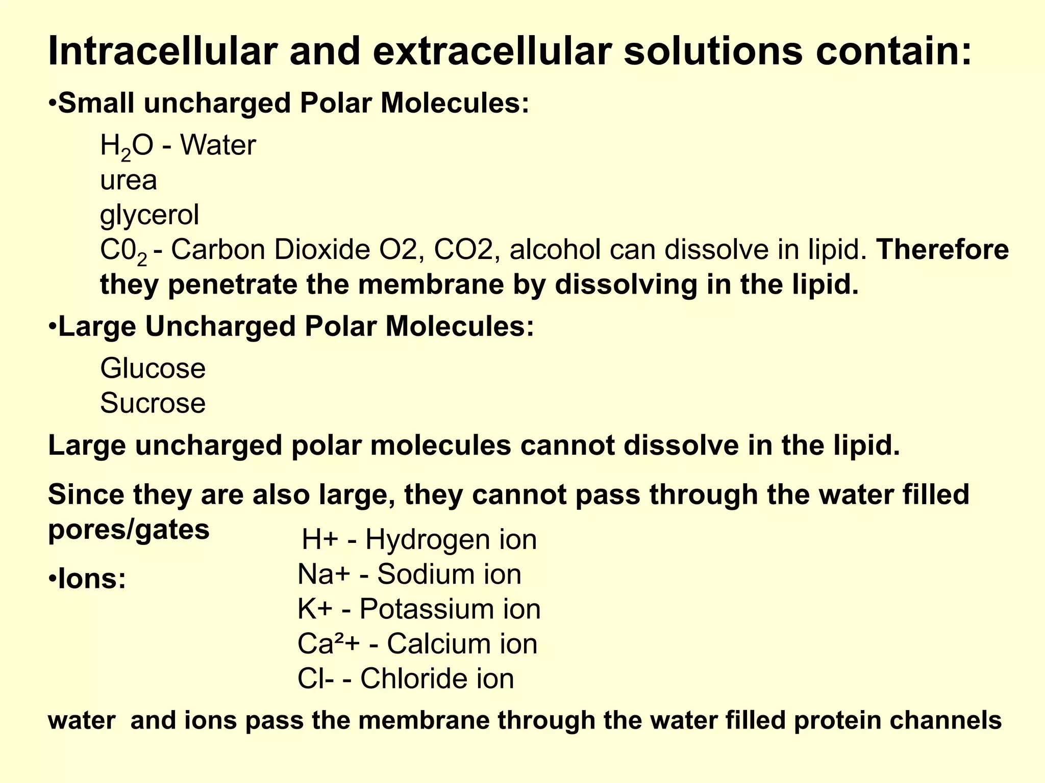 • Small uncharged Polar Molecules:
H2O - Water
urea
glycerol
C02 - Carbon Dioxide O2, CO2, alcohol can dissolve in lipid. Therefore
they penetrate the membrane by dissolving in the lipid.
• Large Uncharged Polar Molecules:
Glucose
Sucrose
Large uncharged polar molecules cannot dissolve in the lipid.
Since they are also large, they cannot pass through the water filled
pores/gates
• Ions:
water and ions pass the membrane through the water filled protein channels
Intracellular and extracellular solutions contain:
H+ - Hydrogen ion
Na+ - Sodium ion
K+ - Potassium ion
Ca²+ - Calcium ion
Cl- - Chloride ion
 