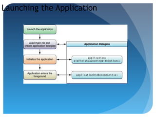 Launching the Application
 