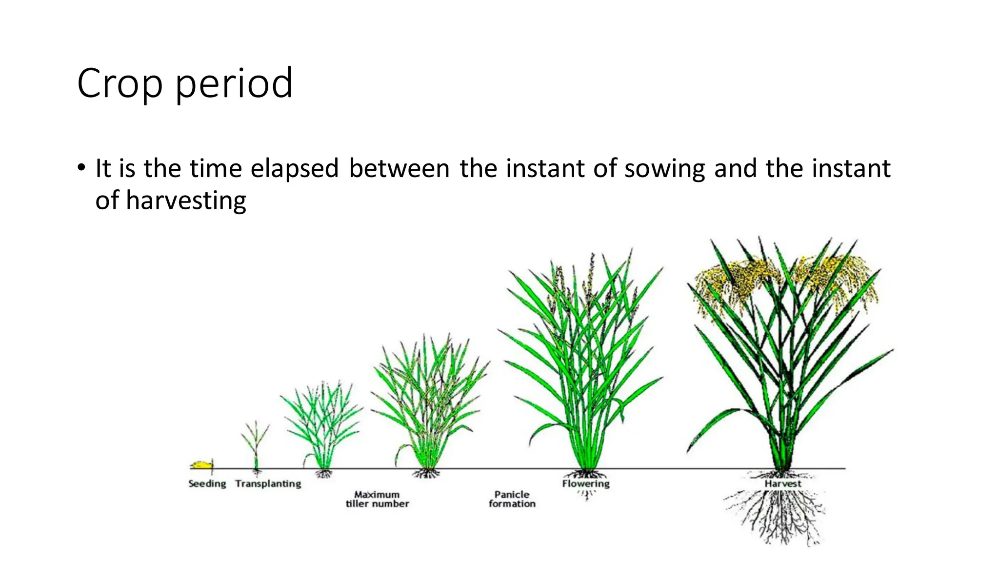 Crop period
• It is the time elapsed between the instant of sowing and the instant
of harvesting
 