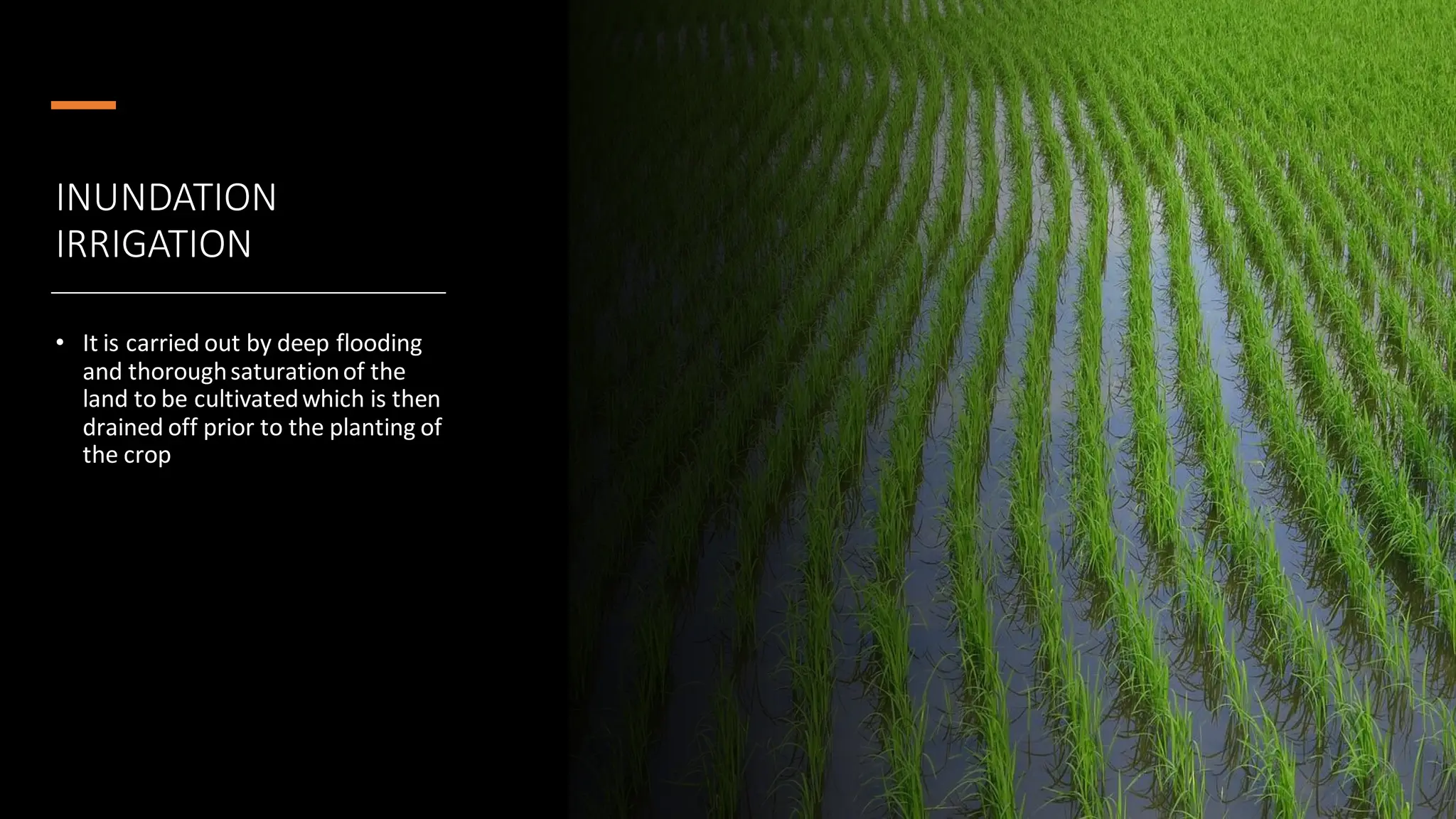 INUNDATION
IRRIGATION
• It is carried out by deep flooding
and thoroughsaturationof the
land to be cultivatedwhich is then
drained off prior to the planting of
the crop
 