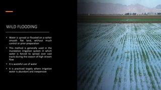 WILD FLOODING
• Water is spread or flooded on a rather
smooth flat land, without much
control or prior preparation
• This method is generally used in the
inundation irrigation system in which
water is forced to spread over vast
tracts during the season of high stream
flow
• It is wasteful use of water
• It is practiced largely where irrigation
water is abundant and inexpensive
 